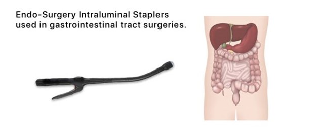 Gastrointestinal Tract Surgery Stapler